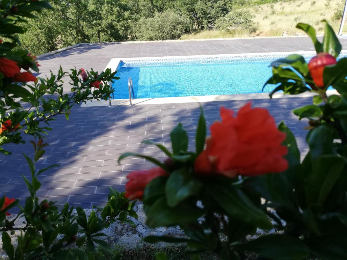 Quinta Dos Carvalhais - Serra Da Estrela Форнос де Алгодрес Екстериор снимка