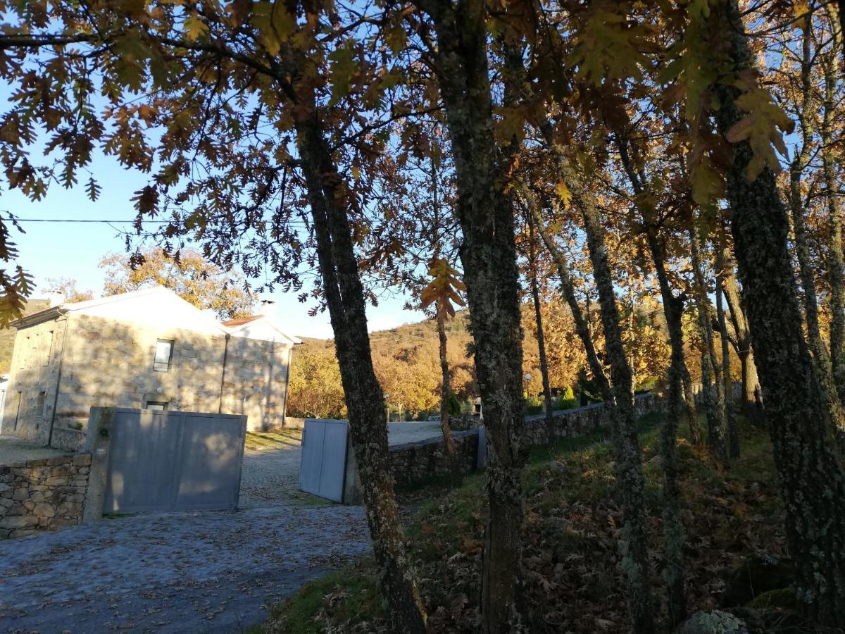 Quinta Dos Carvalhais - Serra Da Estrela Форнос де Алгодрес Екстериор снимка