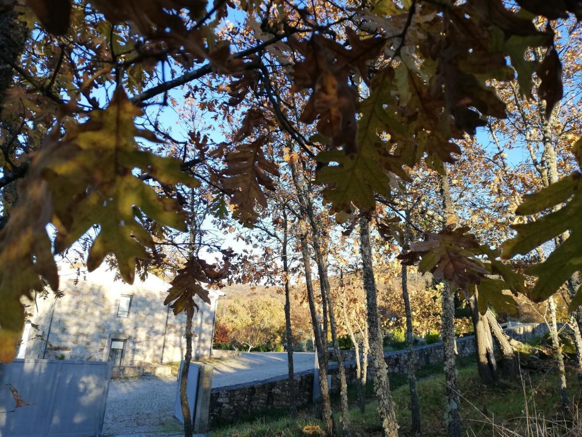 Quinta Dos Carvalhais - Serra Da Estrela Форнос де Алгодрес Екстериор снимка