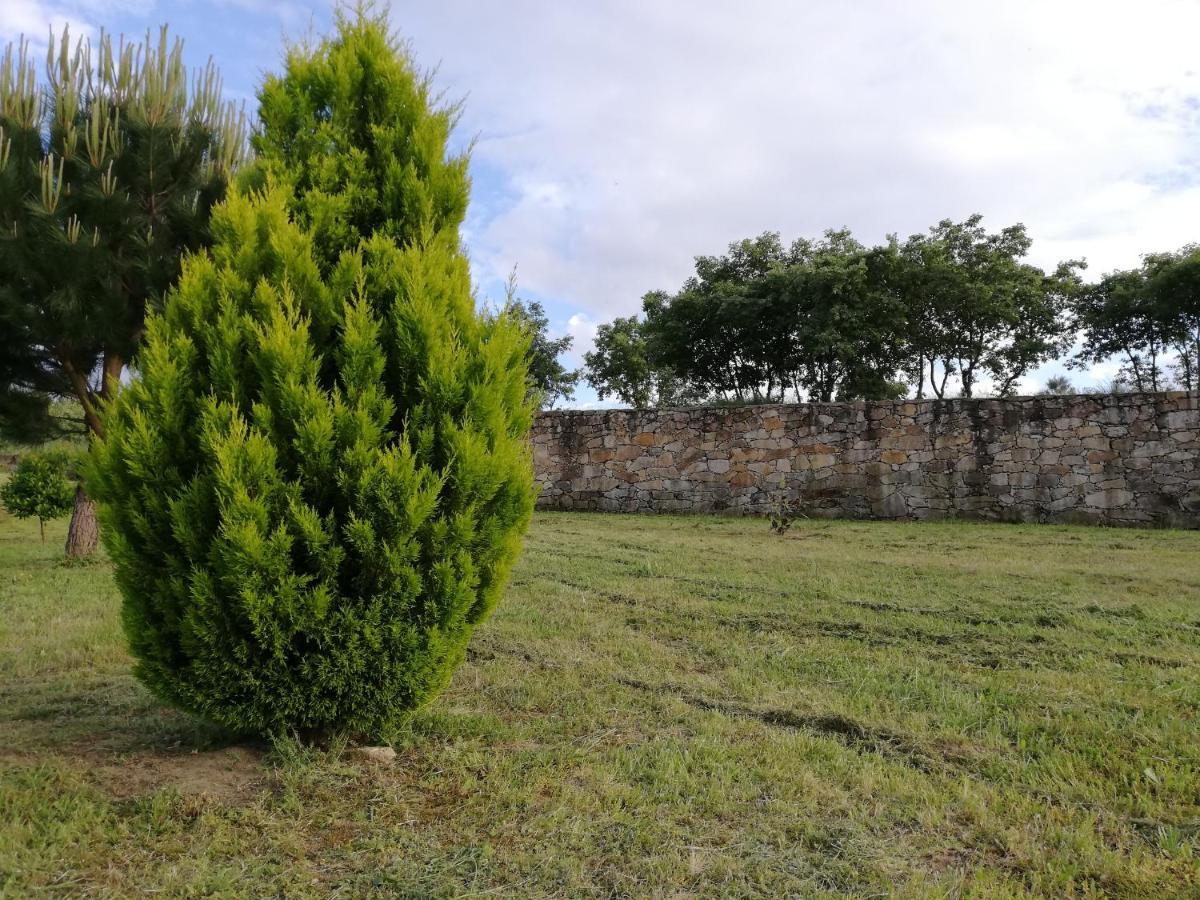 Quinta Dos Carvalhais - Serra Da Estrela Форнос де Алгодрес Екстериор снимка