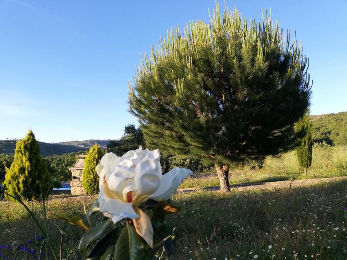 Quinta Dos Carvalhais - Serra Da Estrela Форнос де Алгодрес Екстериор снимка
