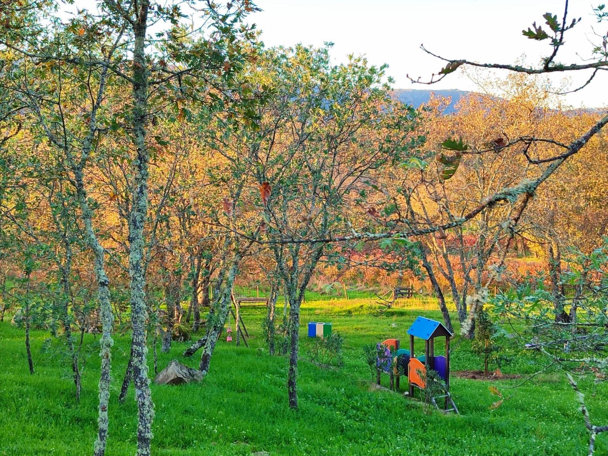 Quinta Dos Carvalhais - Serra Da Estrela Форнос де Алгодрес Екстериор снимка