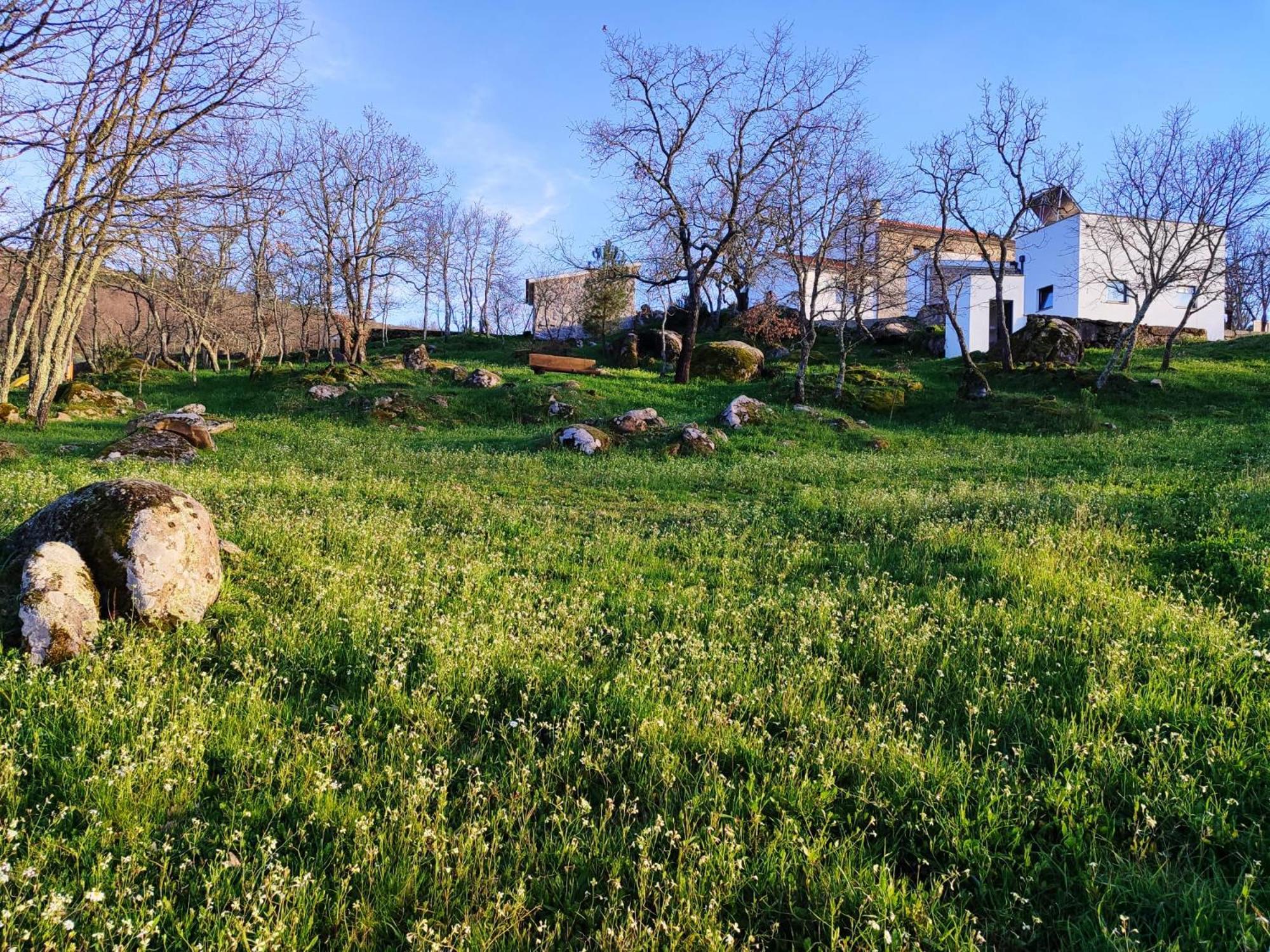 Quinta Dos Carvalhais - Serra Da Estrela Форнос де Алгодрес Екстериор снимка