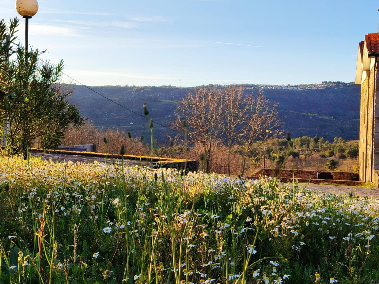 Quinta Dos Carvalhais - Serra Da Estrela Форнос де Алгодрес Екстериор снимка